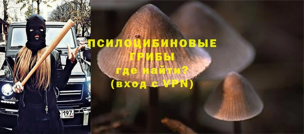 амф Алексеевка