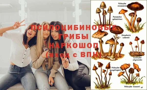 не бодяженный Алексин